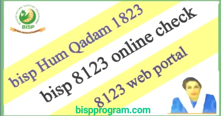 bisp 8123 online check