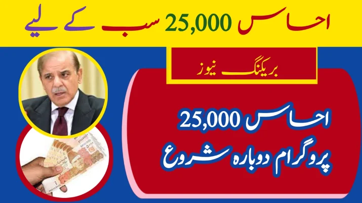 8171 Ehsaas Program 25000