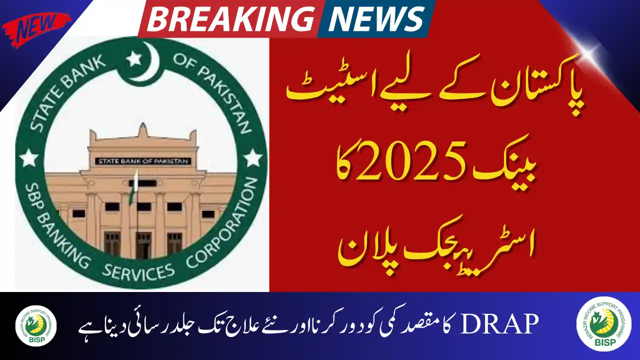 Strategic Plan of SBP